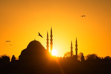 İstanbul, Türkiye 'deki Süleyman Camii. Meşhur turist beldesi. Gün batımında güzel şehir manzarası.