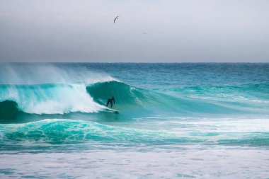 Portekiz, Nazare 'de büyük dalgalarda sörf yapan bir sörfçü. Kış mevsiminde Atlantik okyanusunun büyük dalgaları. Martılar dalgaların üzerinde süzülüyor