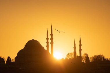 İstanbul, Türkiye. Gün batımına karşı Süleyman Camii. Martılar gökyüzünde süzülüyor. Meşhur seyahat yeri. 