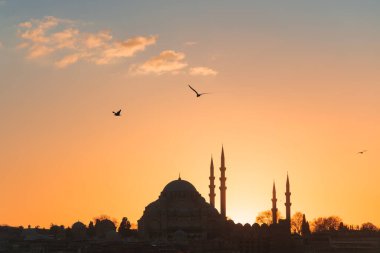 İstanbul, Türkiye. Gün batımında pembe gökyüzüne karşı Süleyman Camii. Martılar gökyüzünde süzülüyor. Meşhur seyahat yeri.
