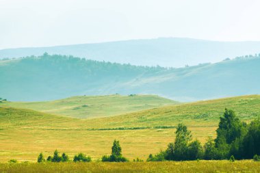 Yazın yeşil çimenli tepeler ve dağlar. Tepelerde yeşil ağaçlar. Güzel yaz manzarası