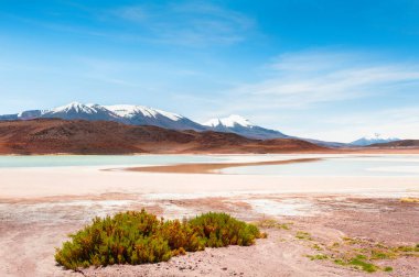 Altiplano yaylası, Bolivya. Mavi su ve volkanlarla yüksek irtifa gölü manzarası. Güney Amerika yaz manzaraları