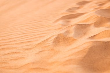 Gün batımında çölde kum tepeleri. Seçici odaklanma. Soyut doğal sarı kum arkaplanı.