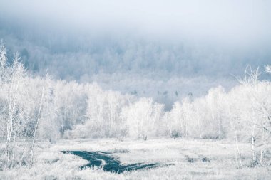 Kış ormanında sisli gündoğumunda beyaz buza bulanmış ağaçlar. Dağların ve ormanın üzerindeki bulutlar. Ormandaki yol. Kış manzarası