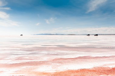 Altiplano, Bolivya 'daki Salar de Uyuni tuz dairesi. Tuz düzlüğünde giden off-road arabaları. Kıyıya yakın pembe tuz yüzeyi ünlü bir seyahat noktası.