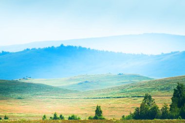 Yazın yeşil çimenli tepeler ve dağlar. Tepelerde yeşil ağaçlar. Güzel yaz manzarası