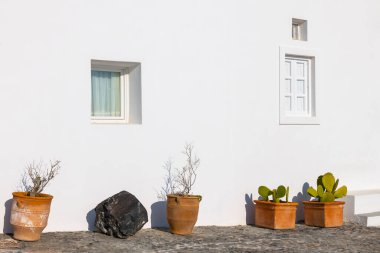 Yunanistan 'ın Santorini adasında beyaz sikladik mimari. Sokaklarda bitkiler olan seramik kaplar.