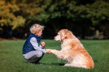 Küçük çocuk yaz günü Golden Retriever köpeğini birlikte oynuyor ve eğitiyor. Doğada köpek portresi olan sevimli bir çocuk. Köpek evcil hayvanın en iyi arkadaşı.