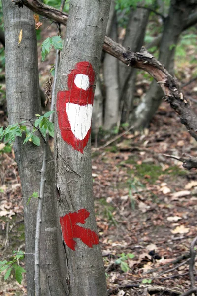 Hiking is safe and easy with trail signs