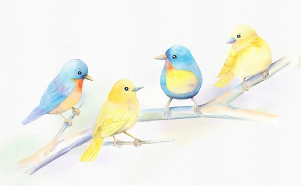 A Watercolor Illustration of Cute Birds on a tree Branch