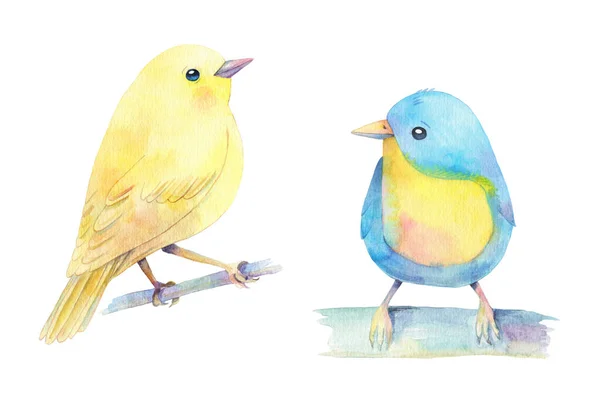 Akwarela Strony Rysowane Cute Niebieski Żółty Ptaków Izolowanych Biały — Zdjęcie stockowe
