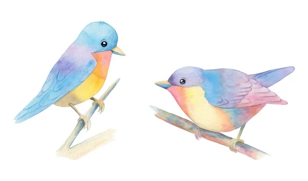 Acuarela Ilustración Dos Pájaros Colores Brunches Aislados Sobre Fondo Blanco — Foto de Stock