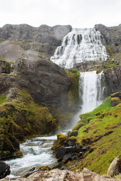 Водоспад Динджанді Ісландія Падінням Передньому Плані — стокове фото