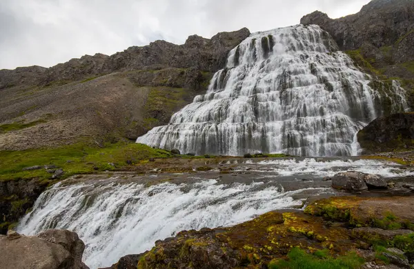 Водоспад Динджанді Ісландія Драматичним Переднім Планом — стокове фото