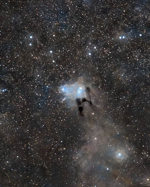 Astronomisches Bild Des Vdb31 Reflexionsnebels Sternbild Auriga Aufgenommen Mit Amateurteleskop — Stockfoto
