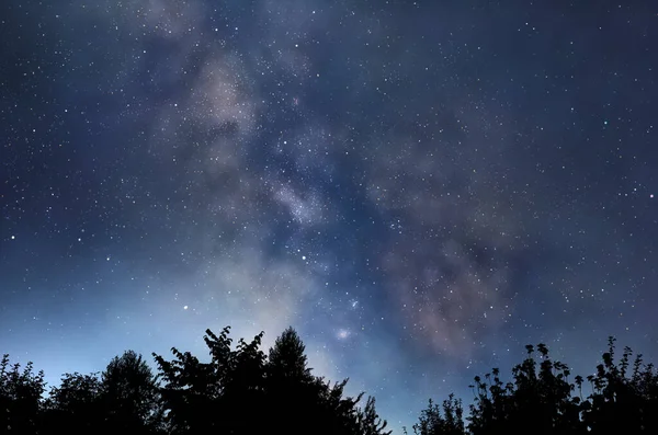 Ilustrace Hvězdné Noční Oblohy Nad Siluetami Tmavých Stromů Stock Obrázky