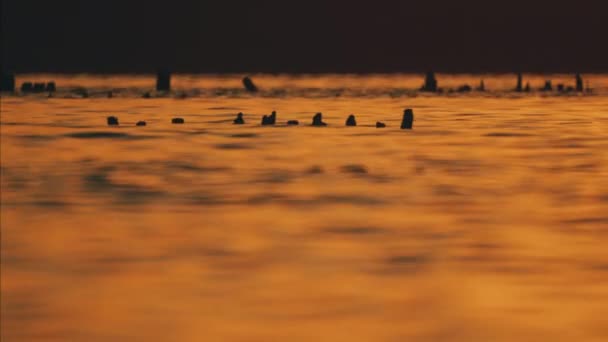 日落时有盐柱的湖 — 图库视频影像