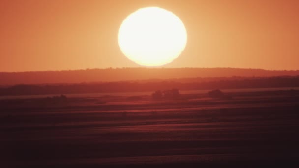 日落时分没有云彩的太阳 — 图库视频影像