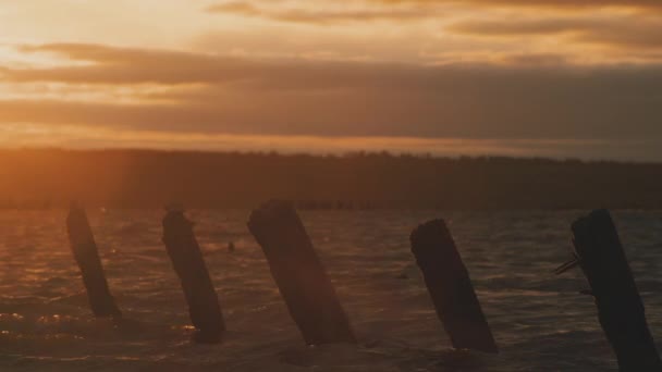 Соляные Столбы Озере Закате — стоковое видео