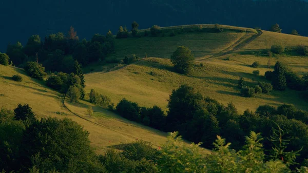 Yazın altın saatinde Karpat Dağları