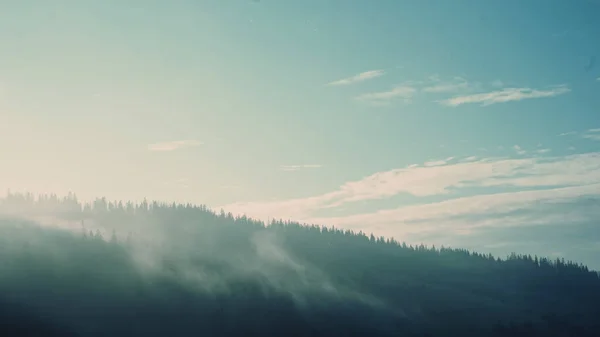 Gün doğumunda sisli Karpat Dağları.