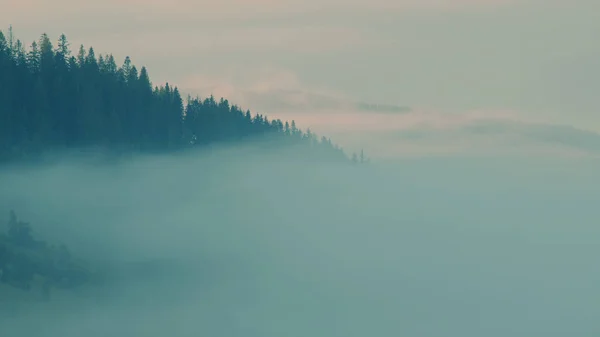 Montañas Cárpatas Con Niebla Amanecer — Foto de Stock