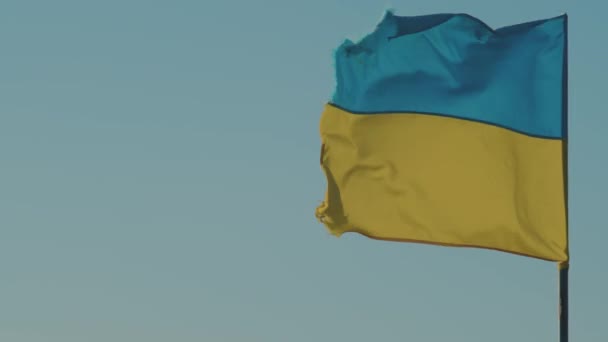 Ukrayna Bayrağı Mavi Gökyüzü — Stok video