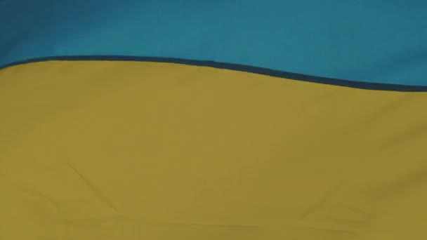 Ukrainian Flag Waving Wind — Stock Video