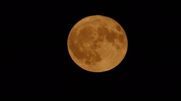 Большой Восход Луны Темную Ночь — стоковое видео