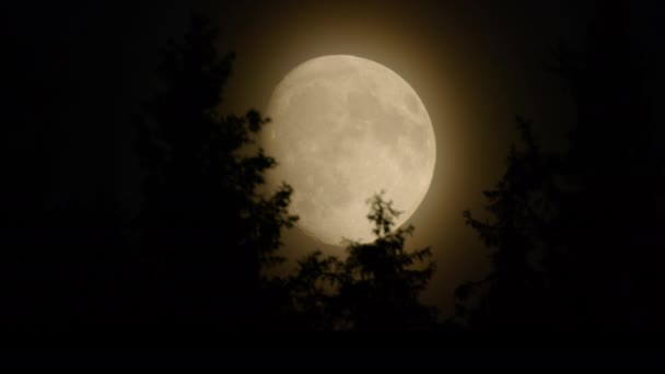 暗い夜に大きな月が昇る — ストック動画