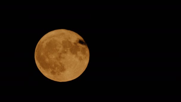 Grande Lua Subindo Uma Noite Escura — Vídeo de Stock