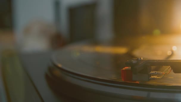 Zblízka Vinylová Deska Starý Vinil Černý Fonograf Spinning — Stock video