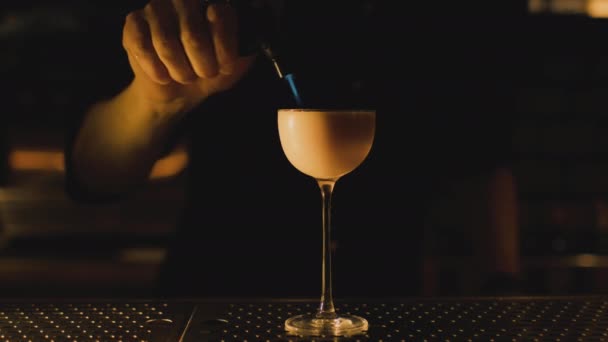 酒保今晚的鸡尾酒很雅致 — 图库视频影像