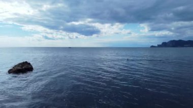 Duck float on the ocean surface ridding the waves. High quality 4k footage