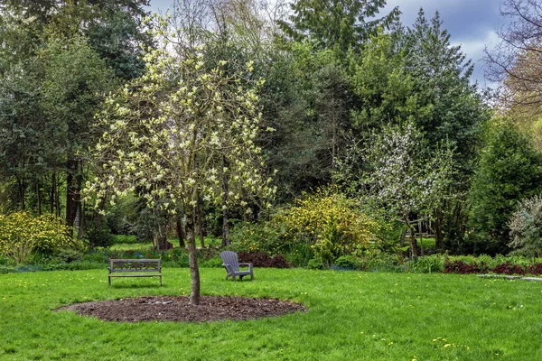Bahar Richmond Daki Paulik Mahallesi Parkı Nda Dinlenme Yeri Çiçekli — Stok fotoğraf