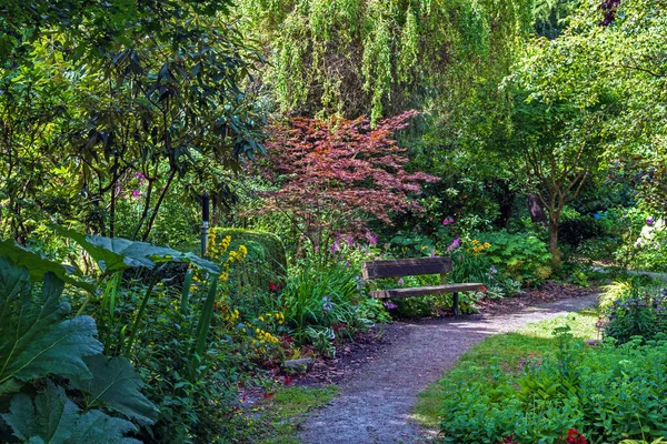 リッチモンド市のポーリック近隣公園に休憩所 開花低木の間の花壇と緑の芝生の上の木の天蓋の下のベンチ ブリティッシュコロンビア州 カナダ — ストック写真