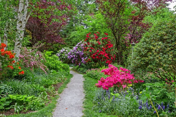 stock image Walking path in Paulik Neighborhood Park in New Westminster City. The walking path is located under trees on a green lawn with flower beds among flowering shrubs, British Columbia, Canada