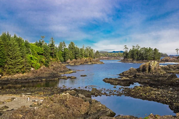 バンクーバー島の西海岸青い空 ブリティッシュコロンビア州カナダの背景に針葉樹林で部分的に生い茂った岩の多い島 ウクレレの野生の太平洋歩道で頑丈な海岸線 — ストック写真