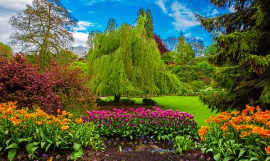 Kraliçe Elizabeth Park Vancouver. Şehir parkında çiçek açan yataklar. Güzel doğal bahçe konsepti. Mavi bulutlu gökyüzünün arka planında çiçekler ve ağaçlar