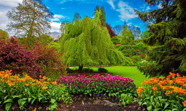 Queen Elizabeth Park Vancouver. Blossoming flower beds in  city park. Beautiful natural landscape gardening concept. Flowers and trees at the background of blue cloudy sky