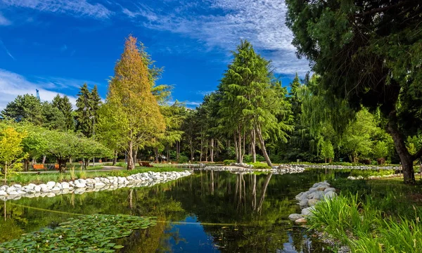美丽的夏日 Minoru公园的一个池塘 沿河的野餐区和散步道 绿树绿草丛生 在美丽多云的天空的背景下 — 图库照片