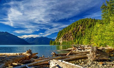 Porteau Cove İl Parkı. Güneşli bir yaz günü, deniz ve dağlar. Sahilde, ön planda ölü ağaçlar var. Güzel bulutlu bir gökyüzünün arka planına karşı. İngiliz Kolombiyası