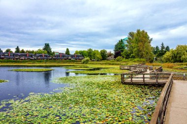 Abbotsford 'un yerleşim bölgesinde güzel bir göl, beyaz nilüferlerle kaplı, göl üzerinde ahşap bir köprü ve fırtınalı bir gökyüzüne karşı sahil evleri köyü.
