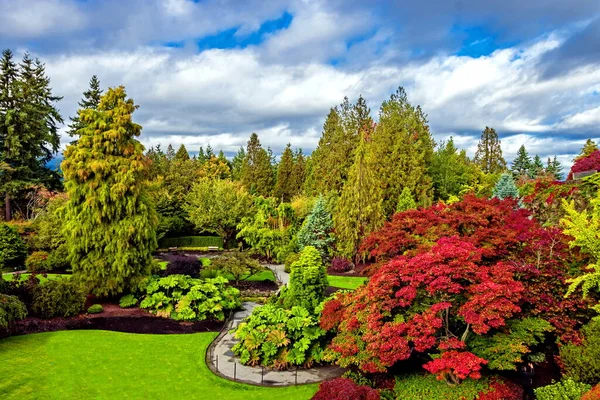 Queen Elizabeth Park Vancouver. Autumn day in  city park. Beautiful natural landscape gardening concept. Green and red trees at the background of blue cloudy sky