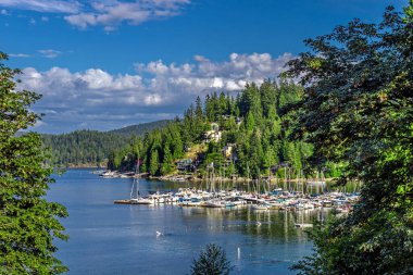 Kuzey Vancouver 'daki derin körfezde sahil köyü ve Marina, limanda bir körfez ve yatlar, yaz mevsiminde bir dağ sırtı ve mavi gökyüzüne karşı.