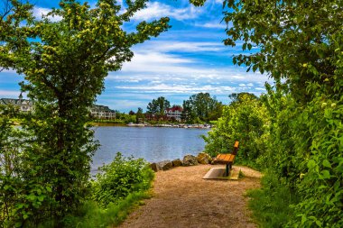 Deas Adası 'ndaki Fraser Nehri' nin kıyısındaki bir ağacın altında bir bank. Resort ve marina binalarına bakan güzel bulutlu bir arka planda. British Columbia, Kanada