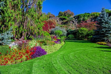 Kraliçe Elizabeth Park Vancouver. Şehir parkında çiçek açan yataklar. Güzel doğal bahçe konsepti. Taşlı tepenin ve mavi gökyüzünün arka planında çiçekler ve ağaçlar