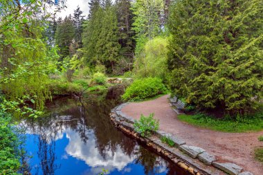 Stanley Parkı 'ndaki derenin yanında dinlenme yeri, kozalaklı ağaçların gölgesinin altında dinlenmek için bank yeşil orman ve bulutlu gökyüzünün sudaki yansıması.