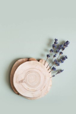 Podyum olarak ahşap bir kesit ya da kaidesel bir üst görünüm, doğa dekorasyonlu renkli arka planda yatıyordu. Doğal podyum ya da kaidesel model.