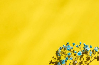 Çiçeklerin ve renkli kağıtların kompozisyonu kopyalama alanı olan sarı Ukrayna renkleriyle.